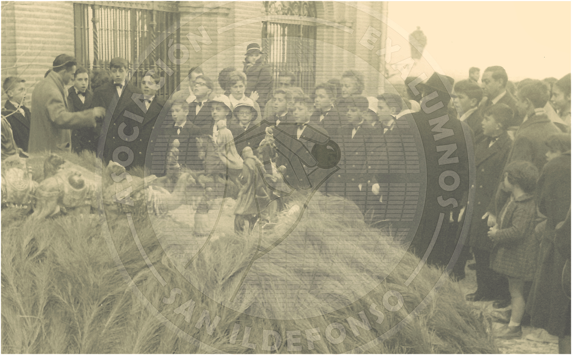 ÁLBUMES GRÁFICOS (1922-1969)